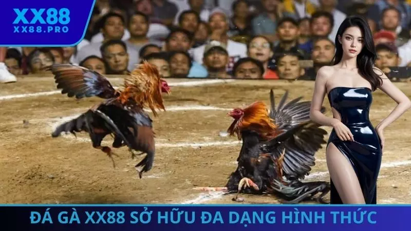 Đá gà XX88 sở hữu đa dạng hình thức